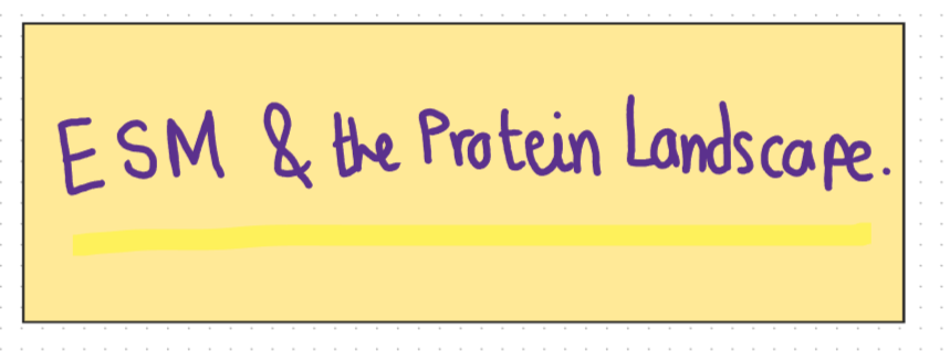 ESM and the Protein Landscape