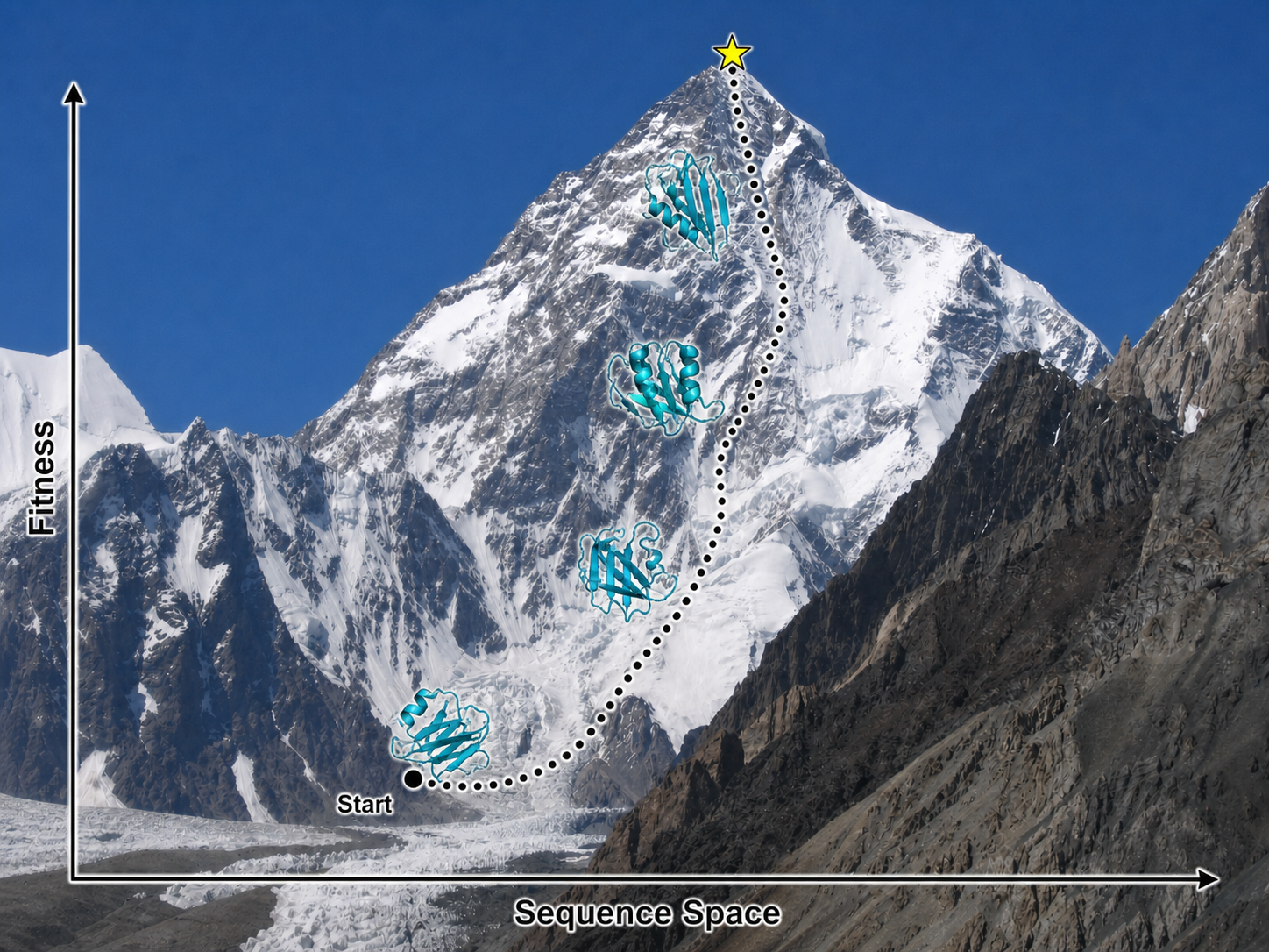 A mountain landscape illustrating a protein sequence optimization path rising through intermediate structures toward a fitness peak.