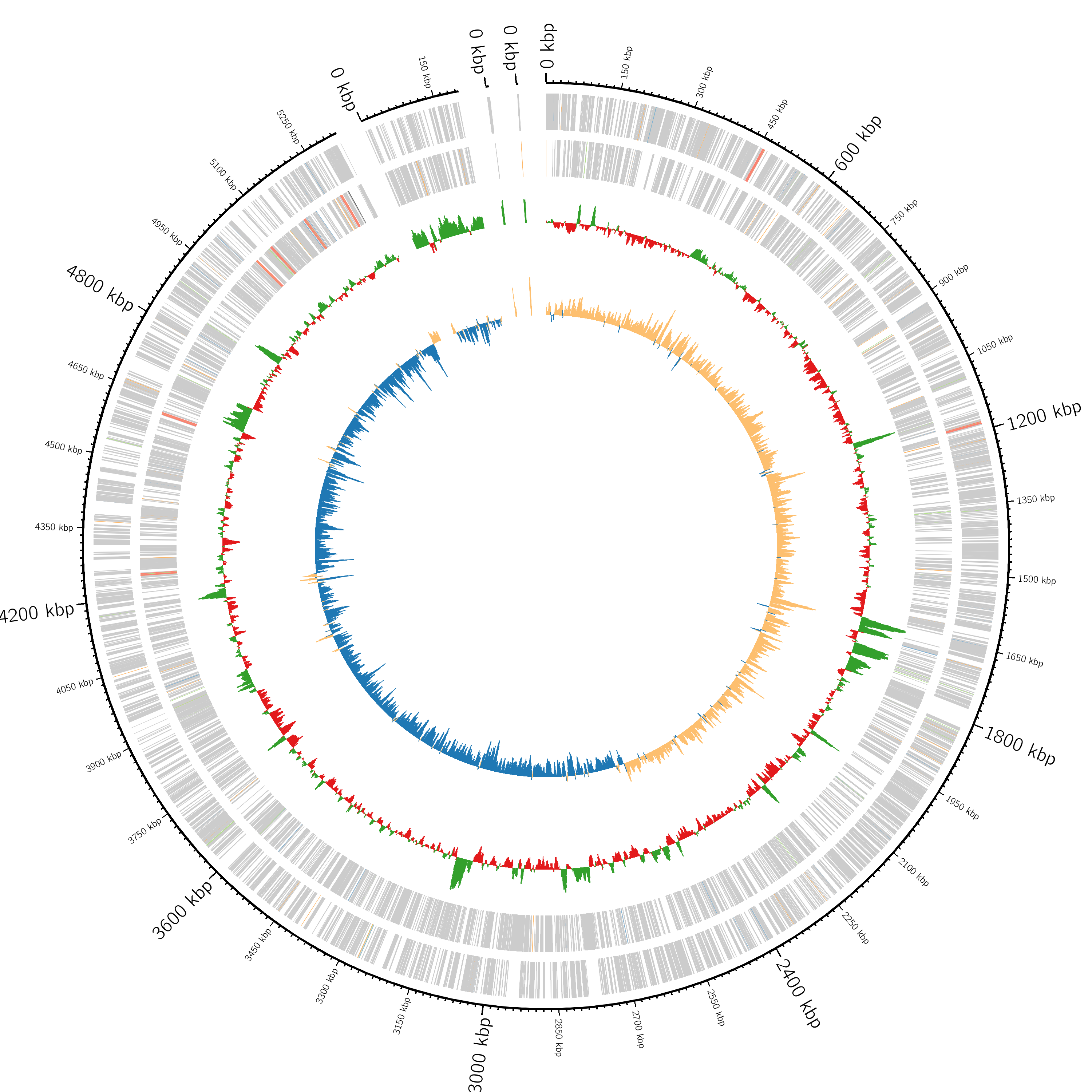 Circular bacterial genome visualization from the project README