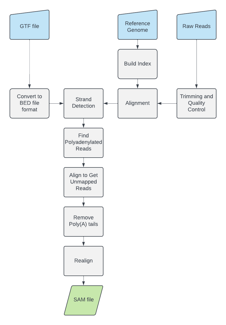 Poly(A)-tailed mRNA read recovery workflow diagram from the project README